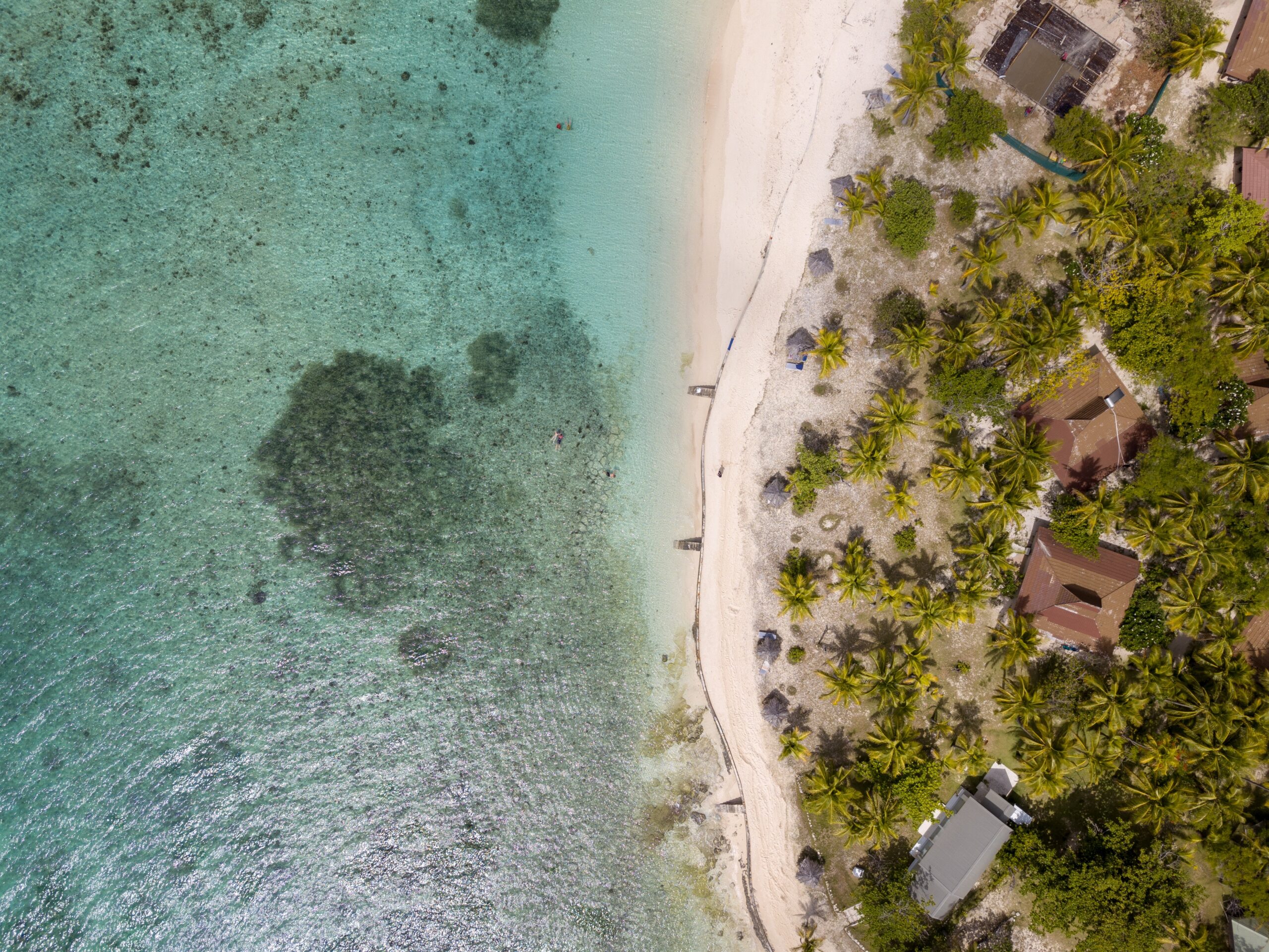 Top 6 des destinations pour les passionnés de sports nautiques : ramez, naviguez, plongez !